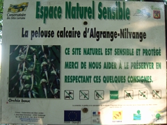 La pelouse calcaire d'Algrange-Nilvange est un espace naturel sensible qu'il convient de respecter